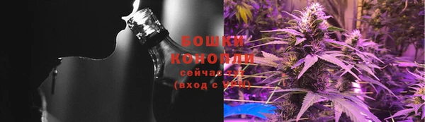 сатива Абаза