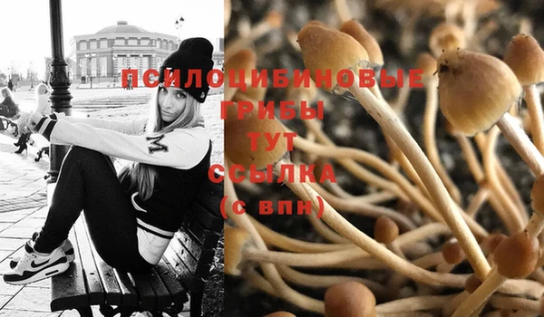 mix Абинск