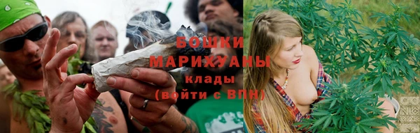 сатива Абаза