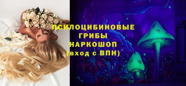 сатива Абаза