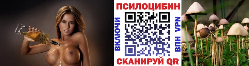 закладка  Пудож  Псилоцибиновые грибы прущие грибы 